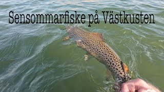 Sensommarfiske Havsöring 25kg [upl. by Pooley]