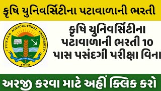 Agriculture University Peon Recruitment  કૃષિ યુનિવર્સિટીના પટાવાળાની ભરતી  10 પાસ [upl. by Aridni209]