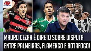 quotEU PENSO DIFERENTE Pra mim Palmeiras e Botafogoquot Mauro Cezar ANALISA DISPUTA com o Flamengo [upl. by Uot]