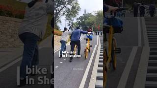 This Bike Lane is Too Steep [upl. by Charmaine]