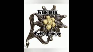 WOSTOK  Gebirgsjäger 16 Bars prod by pvscbeatz [upl. by Mollie]