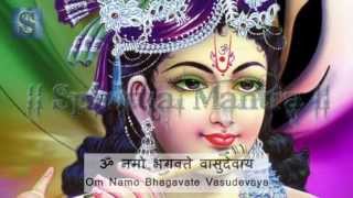 Om Namo Bhagavate Vasudevaya [upl. by Jasmina690]