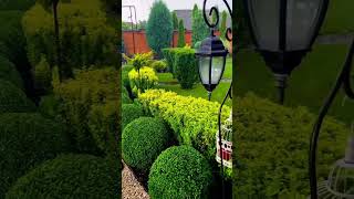 Beautiful Garden Househouw garden house ideahouse decorate ideahome naturehouse [upl. by Dhruv862]