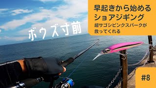 【ショアジギング】超サゴシピンクスパークに救われた [upl. by Navar]