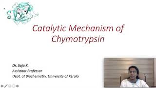 Chymotrypsin  Catalytic Mechanism of enzyme action  Biochemistry [upl. by Caterina]