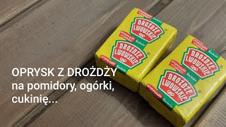 OPRYSK Z DROŻDŻY na pomidory ogórki cukinię [upl. by Tooley]