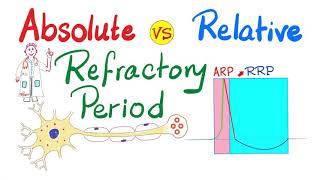 Absolute Refractory period vs Relative refractory period  ARP vs RRP  AllorNon Law [upl. by Allerym]