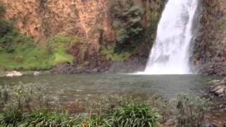 Cascada del Salto del Nogal en Tapalpa [upl. by Leahcimluap]