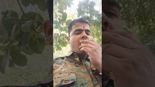 Amla benefitsskincare rohitsachdeva food beauty healthyfood glowingskin beautytips amla [upl. by Sybille]