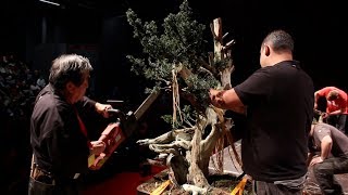 Kunio Kobayashi Bonsai demo [upl. by Dougherty]