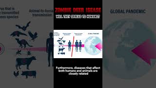 What is Chronic Wasting Disease CWD medicalwastedisposal zombiedeer [upl. by Furie]