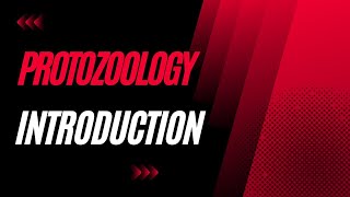 Protozoology Introduction  Protozoology basic terminologies [upl. by Amikat]