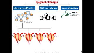 EPIGENETICS IDENTICAL TWINS ARE NOT REALLY IDENTICAL [upl. by Htessil]