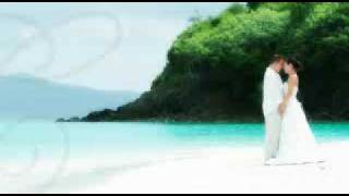 Aghany A3ras old Mix  اعراس wedding song arabic [upl. by Eniac]