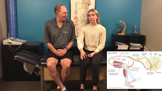 Why Your Doctor Might Use a Reflex Test [upl. by Kuhlman254]