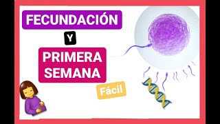 ✅FECUNDACIÓN 1ra SEMANA del DESARROLLO EMBRIONARIO Curso de EMBRIOLOGÍA Humana clase 3 🤰🏼👶🏼 [upl. by Katrinka549]