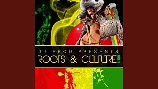 Roots and Culture Mix Vol1 [upl. by Intruoc]