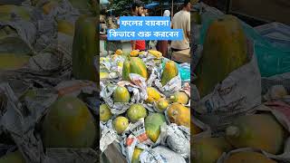 ফলের ব্যবসা। babsarkhabor ফল [upl. by Adore]