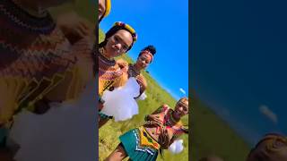 zulu dance africa reggae zulukingdom [upl. by Yewed]