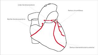 EKG verstehen Schenkelblock Herzinfarkt EKG Crashkurs Teil 2 [upl. by Keisling]