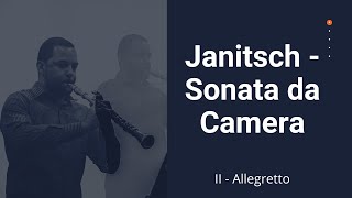 J G Janitsch Sonata da Camera  O Haupt vol Blut und Wunden  II  Allegretto Romes Jorgeoboe [upl. by Idarb]