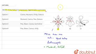 Which of the following represent zygomorphic symmetry [upl. by Alyakim322]