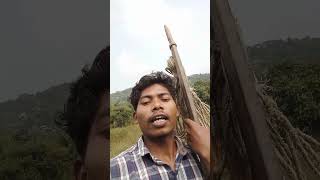 election chalo the jabarjast song sadrinagpurisong viralvideo jharkhand [upl. by Noffets]