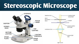 Seteroscopic microscope  instrumentation History amp working  forensic science [upl. by Aerdnad]