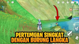 Cara Trigger Quest Reputasi  Pertemuan Singkat Dengan Burung Langka  Sumeru  Genshin Impact [upl. by Anaejer]