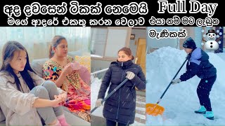 අද දවස 🌹 Life in japan 🇯🇵🇱🇰 Sinhala vlog 😘 [upl. by Alenairam974]