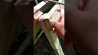 simple DIY sawhorse diy construction woodworking carpenter [upl. by Dusa]