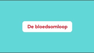 Wat is de Bloedsomloop [upl. by Esther]