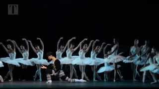 Kim Kimin in Hong Kong Ballets Swan Lake [upl. by Gardener]