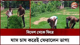 চাঁদপুরে জনপ্রিয় হচ্ছে মেক্সিকানবারমুডার লন কার্পেট ঘাসের চাষ  Axonopus  Carpet Grass Channel 24 [upl. by Unam]