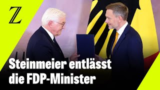 Steinmeier entlässt Linder Buschmann und StarkWatzinger – und ernennt ihre Nachfolger [upl. by Gabriela695]