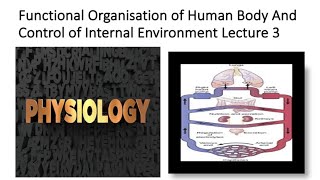 Chapter no 1 Guyton and Hall Physiology Lecture 3 [upl. by Emanuele]