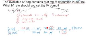 Critical Care Calculations Two Examples [upl. by Aholah]