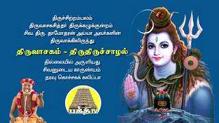 திருவாசகம்  திருச்சாழல்  Thiruvasagam  Thiruchalal  சிவ தாமோதரன் ஐயா [upl. by Coe]