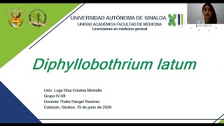 35 Diphyllobothrium latum [upl. by Rurik]