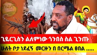 🛑🛑bermel giyorgis🛑🛑ጊዬርጊስን ልለምነው ጎንበስ ስል ጊንጡ ሁለት ቦታ ነደፈኝ መርዙን በ በርሜል ፀበል [upl. by Allayne780]