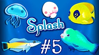 We Got The Humphead Parrot Fish  Splash Fish Sanctuary  Part 5 [upl. by Anileuqcaj]