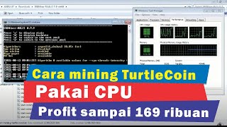 Cara mining TurtleCoin buat wallet pakai SBMiner hanya pakai CPU sampai Profit 169 ribuan [upl. by Gaidano]