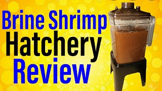 Ziss Brine Shrimp Hatchery Unboxing and Review [upl. by Orecic]