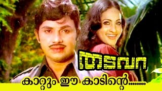 Kadum Ee Kaadinte  Thadavara  Superhit Malayalam Movie Song [upl. by Obau]