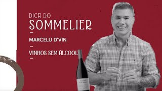 Dicas do Sommelier  Vinhos sem Álcool  Marcelu Dvin [upl. by Hilleary]