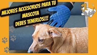 🐶MEJORES ACCESORIOS PARA TU MASCOTA  GADGETS PARA MASCOTAS🐱 [upl. by Edlitam]