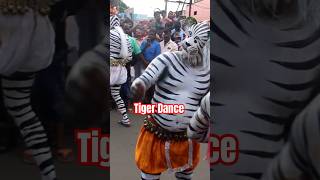 Pulikali tiger dance on Thrissur Pooram festival  Festivals of Kerala [upl. by Lemra]