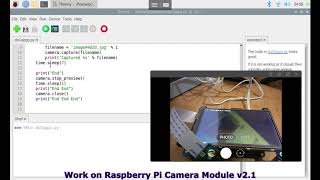 Python script work on RPi Camera Module v21 but fail on HQ [upl. by Nnylekoorb]