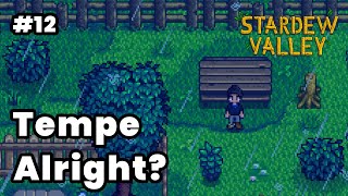 Tempe apa yang gapapa  Stardew Valley PC [upl. by Nerhtak742]