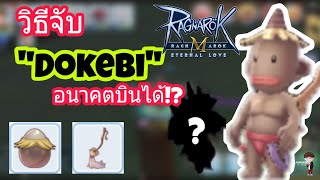 Ragnarok M  วิธีจับ quotDokebiquot สายเวทย์ควรจับ อนาคตบินได้ [upl. by Neryt]